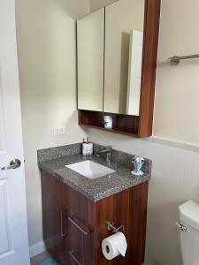 卢西Spacious apartments Crystal Waters的一间带水槽和镜子的浴室