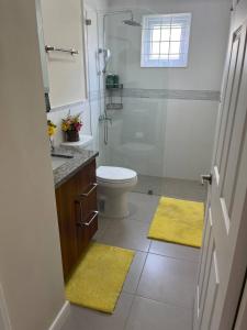 卢西Spacious apartments Crystal Waters的带淋浴、卫生间和黄色垫的浴室