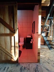 蒙泰韦尔德哥斯达黎加Casa del Árbol (A-Frame) - Ágape del Bosque的粉红色的浴室设有卫生间和门