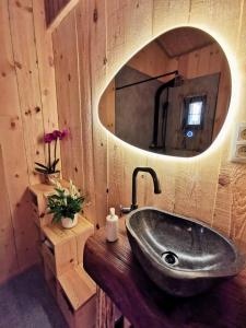 Sainte-OdeLa Cabane d'Ode的一间带水槽和镜子的浴室