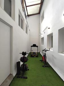 卢尔德Appartement Le Secret, Proche Sanctuaires的一间绿色的客房,里面装有自行车