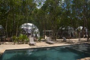 图卢姆Glamping Mayan Glam的一个带两把椅子的游泳池和一个圆顶帐篷