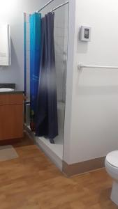 维多利亚维尔MHotel Domaine l'Envolée- Maison Fleurie的一间带蓝色淋浴帘的淋浴的浴室