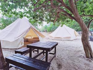 Kampong Tanjong Che LahomRustika Glamping的两个帐篷、一张野餐桌和一张野餐长凳