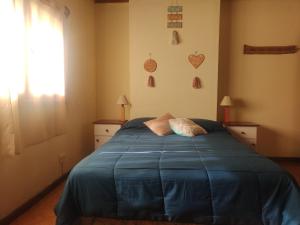 圣卡洛斯-德巴里洛切Posada del Ñireco的一间卧室配有一张带蓝色床单的床和一扇窗户。