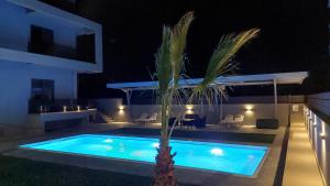 阿默达拉-伊拉克利翁Luana Monte Apartments的游泳池旁的棕榈树