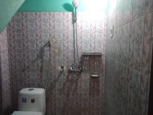 贾姆穆ASHIANA HOME STAY的浴室配有淋浴和卫生间。