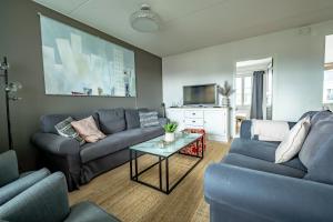 赫尔辛基Beautiful penthouse in the center of Helsinki的客厅配有蓝色的沙发和电视