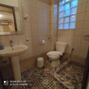 阿莫利亚尼岛卡斯塔利亚公寓式酒店的一间带卫生间和水槽的浴室