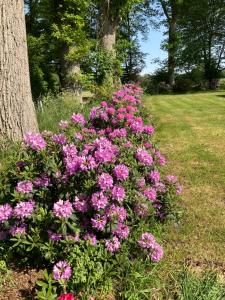 EhndorfHaus Wald und Wiese Wohnung Wald的树旁的粉红色花丛