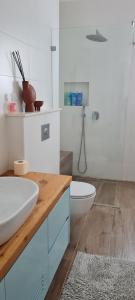 H̱efẕi Bahהבית של כנרת的白色的浴室设有水槽和卫生间。