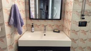 拉韦诺-蒙贝洛La casa sul porto的浴室水槽配有镜子和紫色毛巾