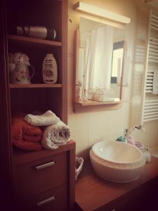 TrimikliniIrinas country home!的一间带水槽和镜子的浴室