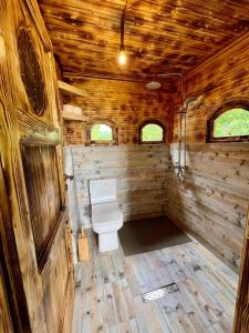 BulqizëKulla Hupi Agriturism的小木屋内带卫生间的浴室