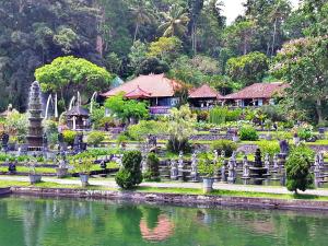 Tirtagangga道尔民宿酒店的一座花园,在一座建筑前设有一个池塘