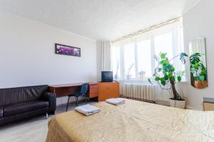 基辅HOSTEL 95的客房设有床、书桌和沙发。