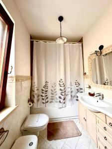 阿杰罗拉沃尔皮住宿加早餐旅馆的浴室配有淋浴帘、卫生间和盥洗盆。