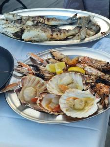 卡奥莱法提内罗酒店的桌上的两盘不同种类的海鲜