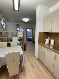伊佐拉Apartment Sotlar的厨房以及带桌椅的用餐室。
