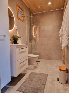 罗瓦涅米Kivikatu Apartment的一间带卫生间和淋浴的浴室