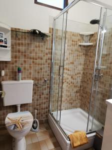 马斯林尼察Apartmani Nata的带淋浴和卫生间的浴室