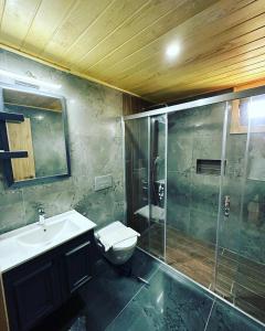 契拉勒希拉里公寓的带淋浴、卫生间和盥洗盆的浴室