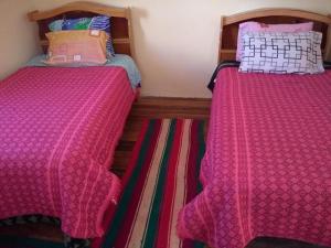 Isla de la LunaHostal Luna del Titikaka en Isla de la Luna Bolivia的两张睡床彼此相邻,位于一个房间里