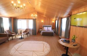 特拉布宗ALMIRCAN HOTEL的客房设有床、电视和沙发。