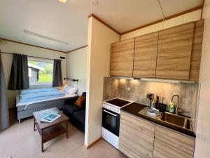 翁达尔斯内斯Trollstigen Resort的一间小厨房和一间位于小房子内的客厅