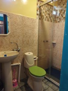 乌尤尼Uyuni HOSTAL YOKOSO的一间带绿色卫生间和淋浴的浴室