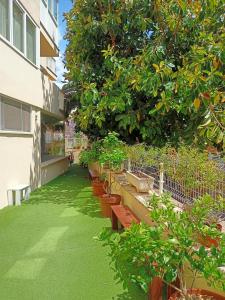 马略卡岛帕尔马帕尔马港旅舍 - 青年旅舍的一座花园,在一座建筑前方种有植物和长凳