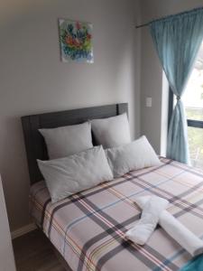 开普敦Cederberg Estate的一张带两个白色枕头的床和窗户