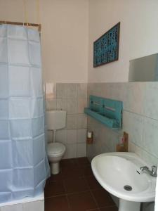 塔拉法尔Old house的浴室配有白色水槽和卫生间。