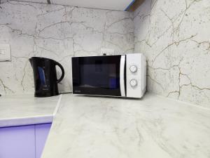 东伦敦Asher's Place的厨房的台面上有一个微波炉