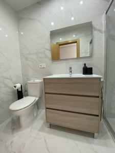 萨莫拉Apartamento NyA Zamora的一间带卫生间、水槽和镜子的浴室
