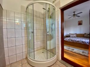 舒加塔格盐矿镇Casa Chindris的带淋浴的浴室内的步入式淋浴间