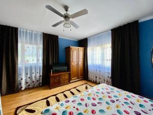 舒加塔格盐矿镇Casa Chindris的一间卧室配有一张床和吊扇