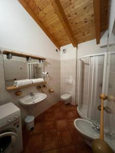 EnguisoAppartamenti Casa Miravalle的一间带水槽、淋浴和卫生间的浴室