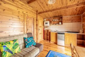 达布基KARMAZYNOWY RAJ的小木屋内带沙发的客厅