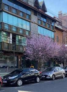 格拉玛多LUXUOSO APT ALMERIS PECCIN no Centro de GRAMADO的两辆汽车停在一座紫色树的建筑前面