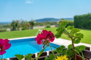 罗格其维Villa Poemia的享有游泳池旁鲜花的景致