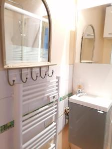 弗兰奎维尔-圣皮尔Charmant Appartement 10mn Rouen的一间带水槽和镜子的浴室