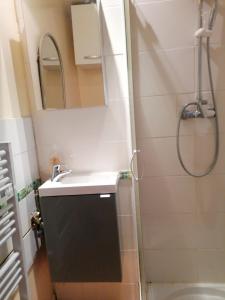 弗兰奎维尔-圣皮尔Charmant Appartement 10mn Rouen的浴室配有盥洗盆和带镜子的淋浴