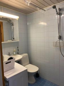 科特卡Viihtyisä huoneisto keskustassa.的一间带卫生间、水槽和镜子的浴室