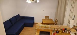 瓦比尼科Andrijana的客厅设有蓝色的沙发和壁炉