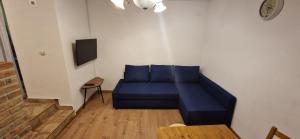 瓦比尼科Andrijana的客厅配有一张蓝色的沙发,配有一张桌子