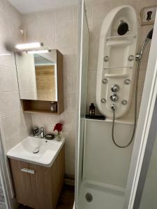 萨莫安斯Samoens 1600, ski au pied的带淋浴和盥洗盆的小浴室