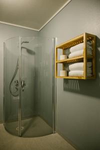 NorddalNorway Holiday Apartments - Norddalstunet的带淋浴和玻璃淋浴间的浴室
