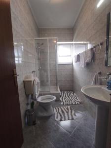 诺维·维诺多尔斯基Apartman Mila的带淋浴、卫生间和盥洗盆的浴室