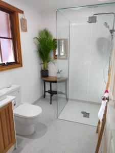 巴拉腊特杜恩斯坦斯旅馆的一间带卫生间和玻璃淋浴间的浴室